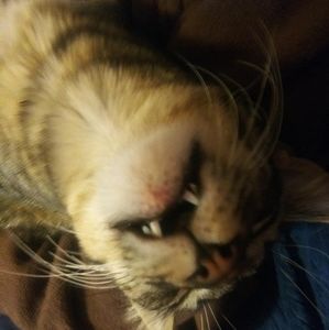 Meet your Posher, Steven